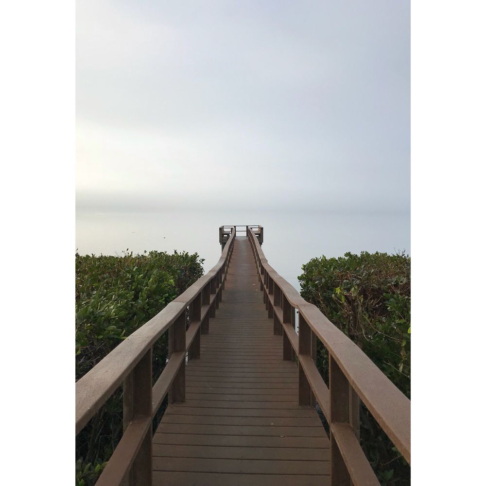 GRANDE BAY APARTMENTS Updated 2024 2909 Gulf To Bay Blvd