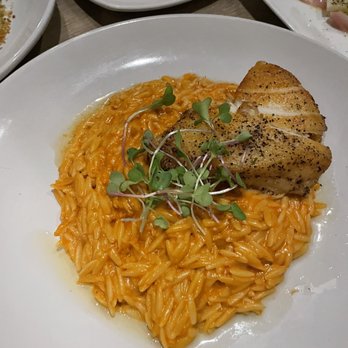 Barbusa - Sea bass - Italian Near Me - San Diego, California Barbusa - Sea bass - Italian Near Me - San Diego, California