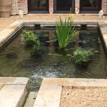 Beach Cities Aquatics - One of my water gardens early spring! - Aquarium Services Near Me Beach Cities Aquatics - One of my water gardens early spring! - Aquarium Services Near Me