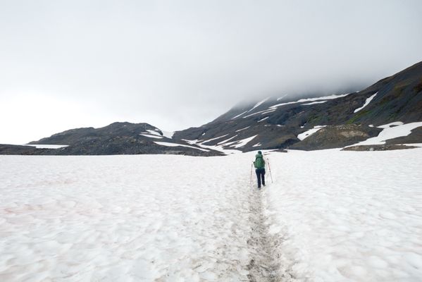 Kenai Fjords National Park by null