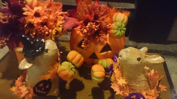 Pontocho Alley by null