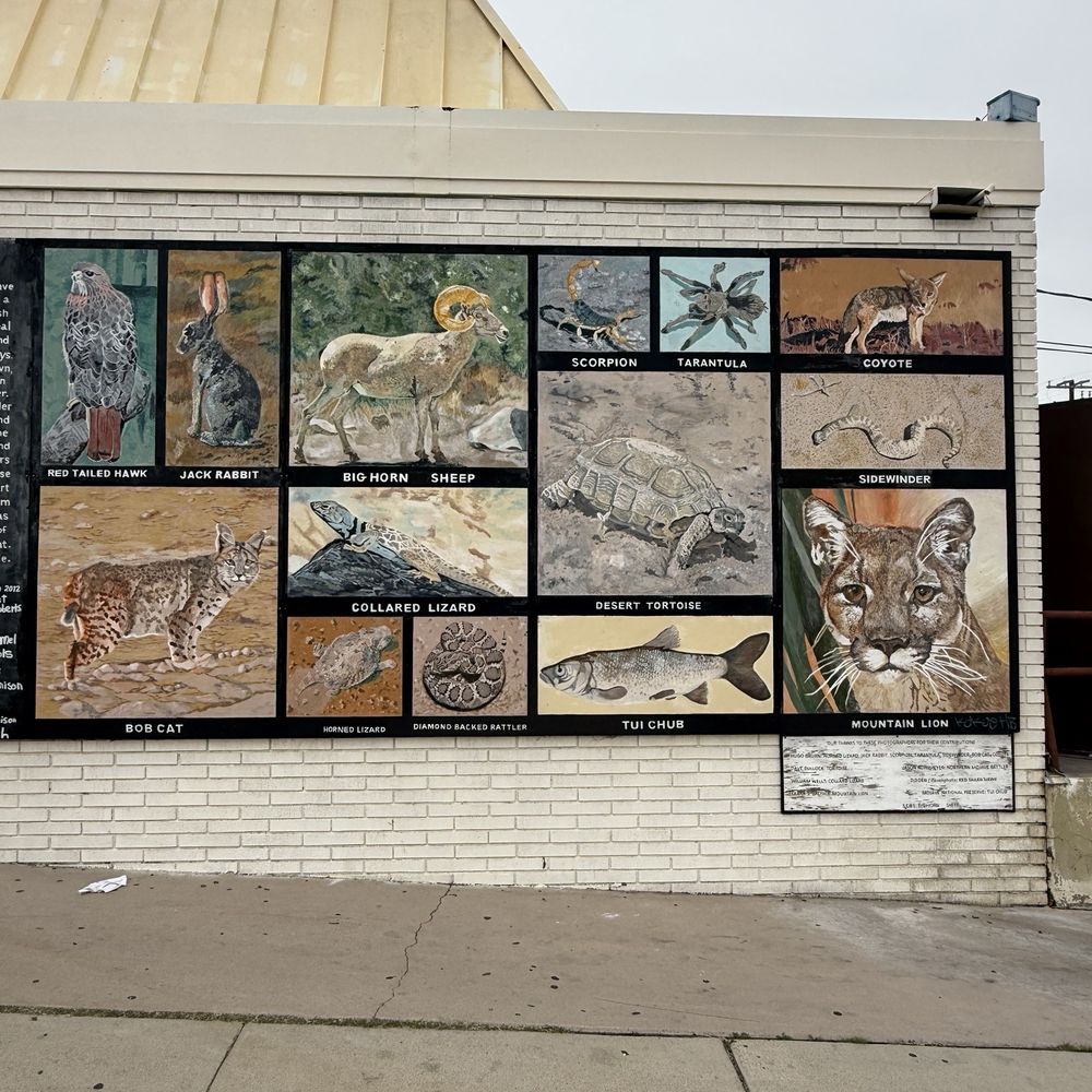 Starlight Donuts - Mural @ Starlight donut shop - Donuts Near Me - Barstow, California
