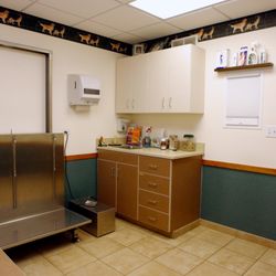 Orchard Road Animal Hospital