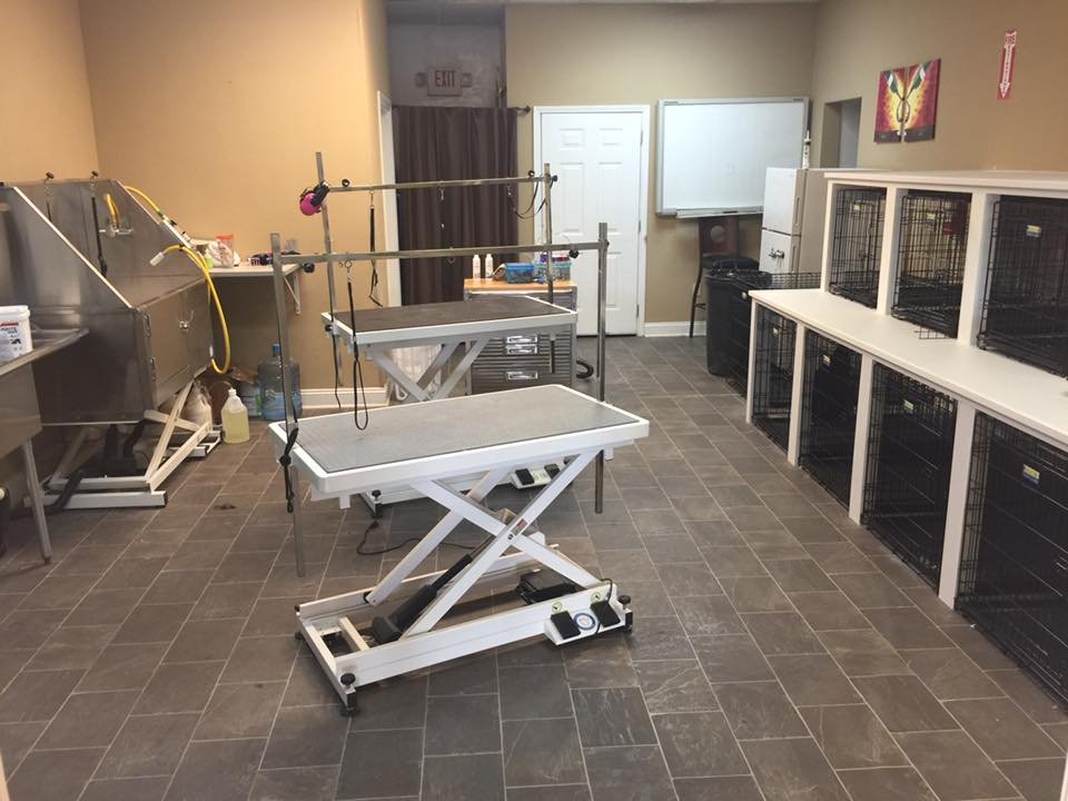 PAWSH PETS GROOMING 16 Photos 10812 Coldwater Rd, Fort Wayne