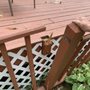Economy Tree Service
