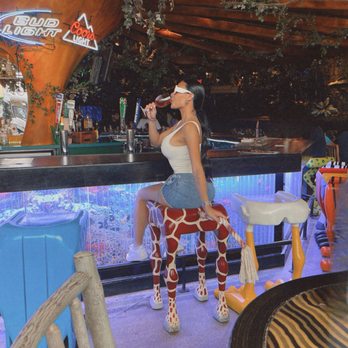 Rainforest Cafe - American Near Me - Sunrise, Florida Rainforest Cafe - American Near Me - Sunrise, Florida