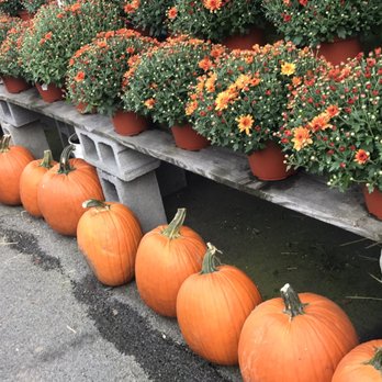 Wright's Farm - Fruits & Veggies Near Me - Gardiner, New York Wright's Farm - Fruits & Veggies Near Me - Gardiner, New York