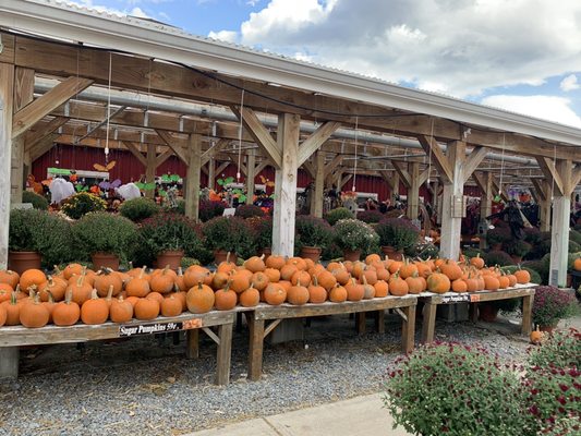 Calareso's Farm Stand & Garden Center by null