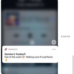 Domino's Pizza - Time stamp of when pizza came out of the oven