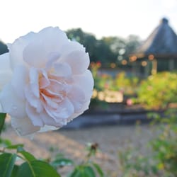 Independence Community Park - ...pretty  :)