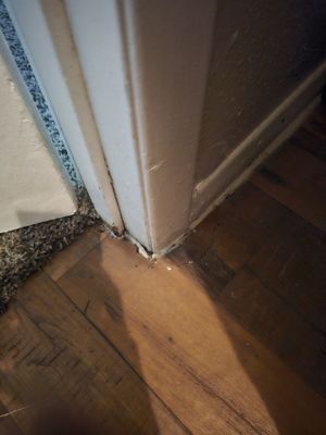 The Crossing at 1415