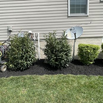Meadows Farms Nurseries - Manassas - Mountain Laurel - Nurseries & Gardening Near Me - Manassas, Virginia Meadows Farms Nurseries - Manassas - Mountain Laurel - Nurseries & Gardening Near Me - Manassas, Virginia