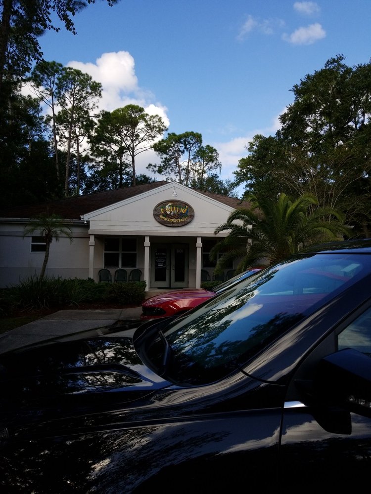 EXOTIC BIRD HOSPITAL 26 Photos & 26 Reviews Veterinarians 8820