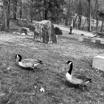 Allegheny Cemetery - Funeral Services & Cemeteries Near Me - Pittsburgh, Pennsylvania Allegheny Cemetery - Funeral Services & Cemeteries Near Me - Pittsburgh, Pennsylvania