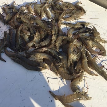 OBX Crabbing & Shrimping Charters - Boat Charters Near Me - Wanchese, North Carolina OBX Crabbing & Shrimping Charters - Boat Charters Near Me - Wanchese, North Carolina