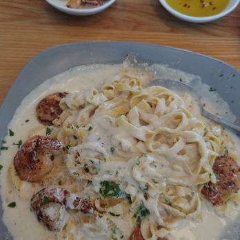 Bocca Italian Kitchen - fettuccine alfredo w/ grilled shrimp - Italian Near Me - Houston, Texas Bocca Italian Kitchen - fettuccine alfredo w/ grilled shrimp - Italian Near Me - Houston, Texas