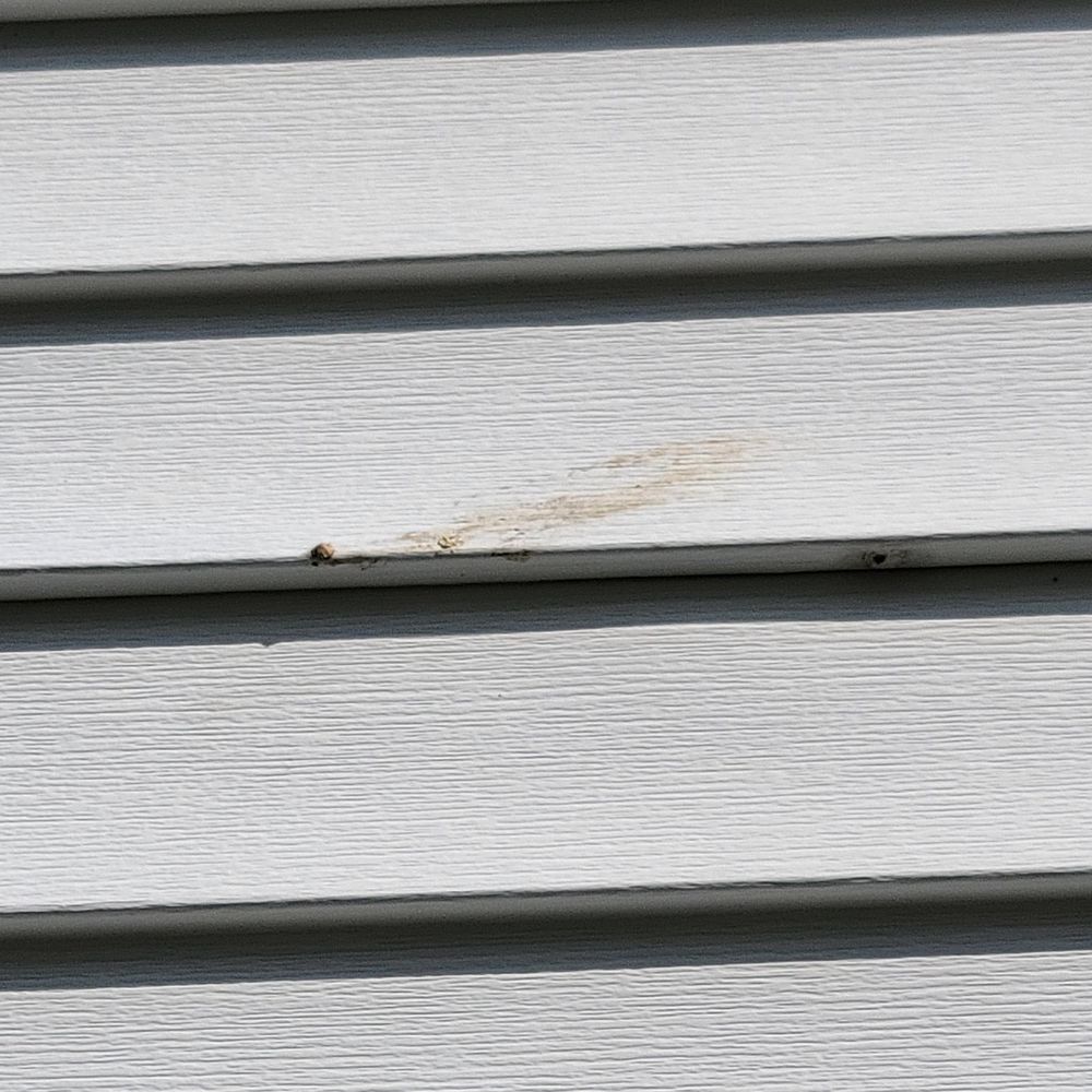 Mrs Powerwash - Siding not clean. - Pressure Washers Near Me Mrs Powerwash - Siding not clean. - Pressure Washers Near Me