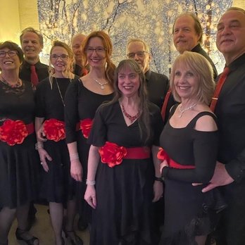 Brookfield Ballroom - Nine individuals in black attire with red floral sashes or accessories pose for a group photo in an indoor setting with warm lighting and a decorative background. - Dance Studios Near Me - Brookfield, Wisconsin
