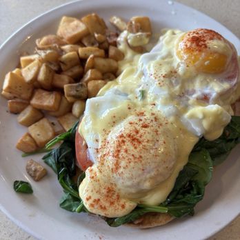 The Big Biscuit - Turkey Florentine Eggs Benedict - Breakfast & Brunch Near Me - Raymore, Missouri The Big Biscuit - Turkey Florentine Eggs Benedict - Breakfast & Brunch Near Me - Raymore, Missouri