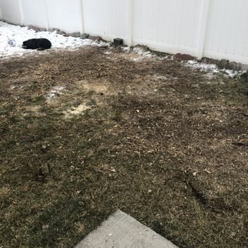 Supreme Tree Experts Utah - What was left, and the hole was filled in after trees were removed and strung was taken out. - Tree Services Near Me Supreme Tree Experts Utah - What was left, and the hole was filled in after trees were removed and strung was taken out. - Tree Services Near Me