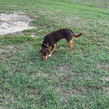 Upper Horsepen Creek Park - Dog Parks Near Me - Houston, Texas Upper Horsepen Creek Park - Dog Parks Near Me - Houston, Texas
