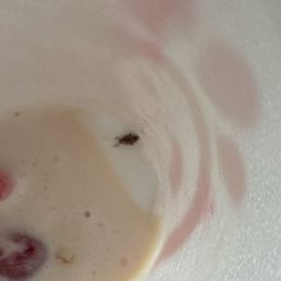 Peach Milkshake Peach Milkshake