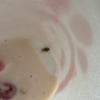 Chick-fil-A - Peach Milkshake - Fast Food Near Me - San Antonio, Texas Chick-fil-A - Peach Milkshake - Fast Food Near Me - San Antonio, Texas
