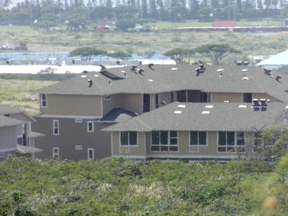 Slide of Kokua Roofing