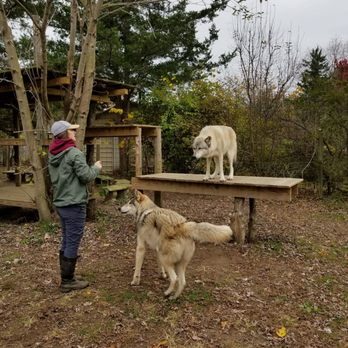 Howling Woods Farm - Animal Shelters Near Me - Jackson, New Jersey
