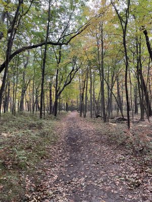 Bay City State Park by null