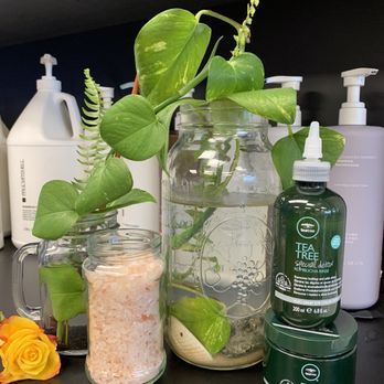 Supercuts - Tea Tree Salt Scrub Experience - Hair Salons Near Me - HAMPSTEAD, North Carolina