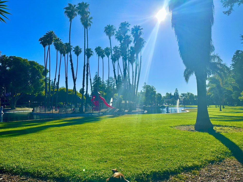 LAS PALMAS DOG PARK Updated November 2024 67 Photos & 87 Reviews