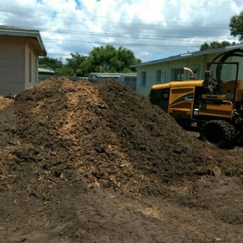 Stumps & Roots - Large stump removal. Photo 4/4. Resulting mulch. - Tree Services Near Me - Saint Petersburg, Florida Stumps & Roots - Large stump removal. Photo 4/4. Resulting mulch. - Tree Services Near Me - Saint Petersburg, Florida