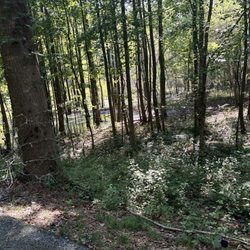Kenwood Park