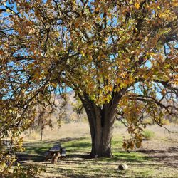 Paramount Ranch