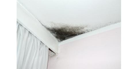 A-1 Mold Testing & Remediation Services - mold inspector in Omaha, NE