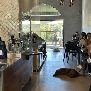 Lofty Coffee La Costa - Vibe - Breakfast & Brunch Near Me - Carlsbad, California Lofty Coffee La Costa - Vibe - Breakfast & Brunch Near Me - Carlsbad, California
