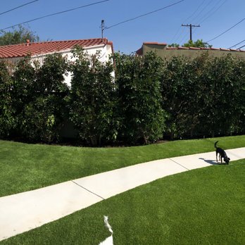 Earth Design - Dogs Playing - Landscape Architects or Designers Near Me - Santa Monica, California