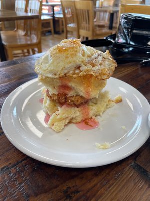 Maverick Biscuit by null