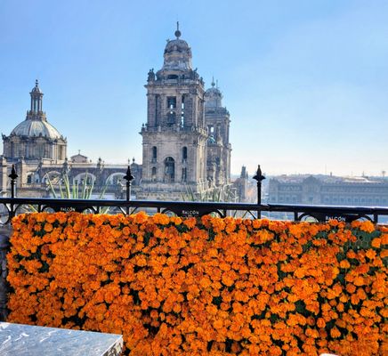 Zócalo Central Hotel by null