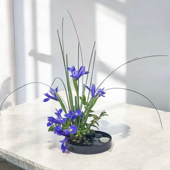 Zenn Florists - Florists Near Me - Almaden, California Zenn Florists - Florists Near Me - Almaden, California