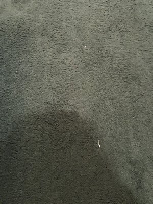 Bighorn Rentals by null