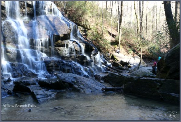 Yellow Branch Falls by null