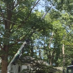 Arborex Tree Services - crane over house removing large white oak