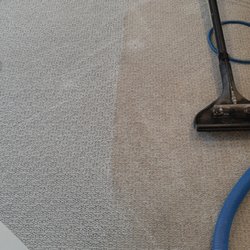 Can't believe I lived with carpets this dirty!