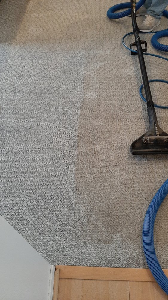 CANTON CARPET CLEANERS Updated August 2024 15 Reviews 48820