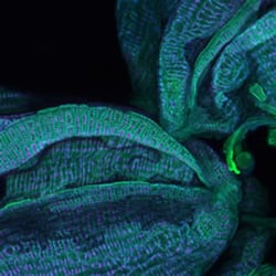 Crafts Center - Exhibit - Exploring the Micro-world.  March 14-April 15, 2016