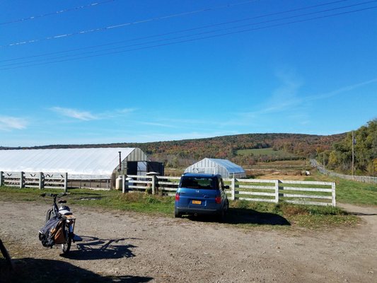 Rock Steady Farm by null