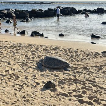 Poipu Beach - Beaches Near Me - Koloa, Hawaii
