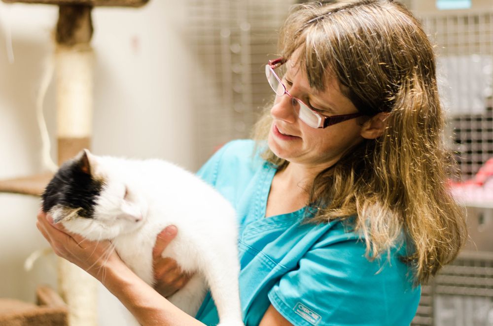 GLACIAL RIDGE VETERINARY CLINIC, P.A. Updated September 2024 15